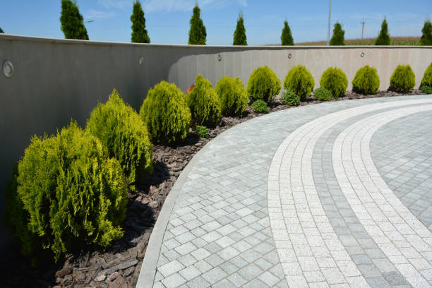 Reasons to Select Us for Your Driveway Paving Requirements in Arcadia, WI